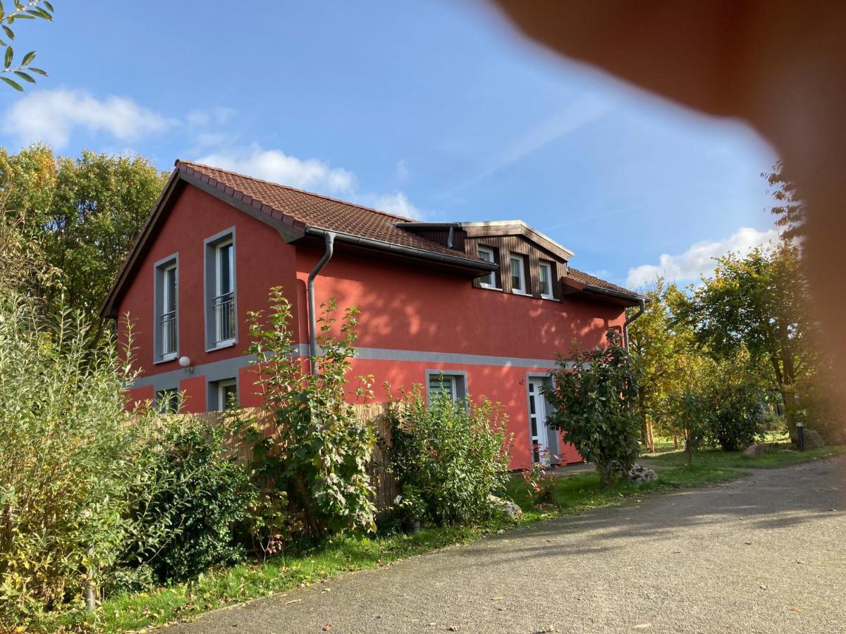 Urlaubsoase Ostsee Hohen Schoenberg Eksteriør billede