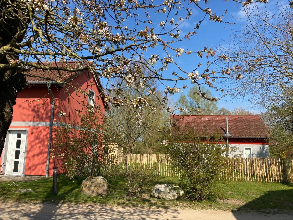 Urlaubsoase Ostsee Hohen Schoenberg Eksteriør billede